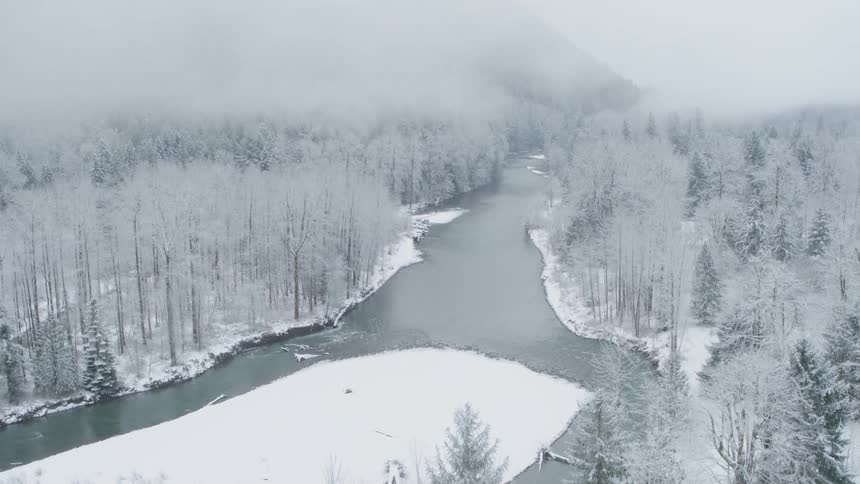 Frost covered trees line a snow white riverbank in a mountain valley forest