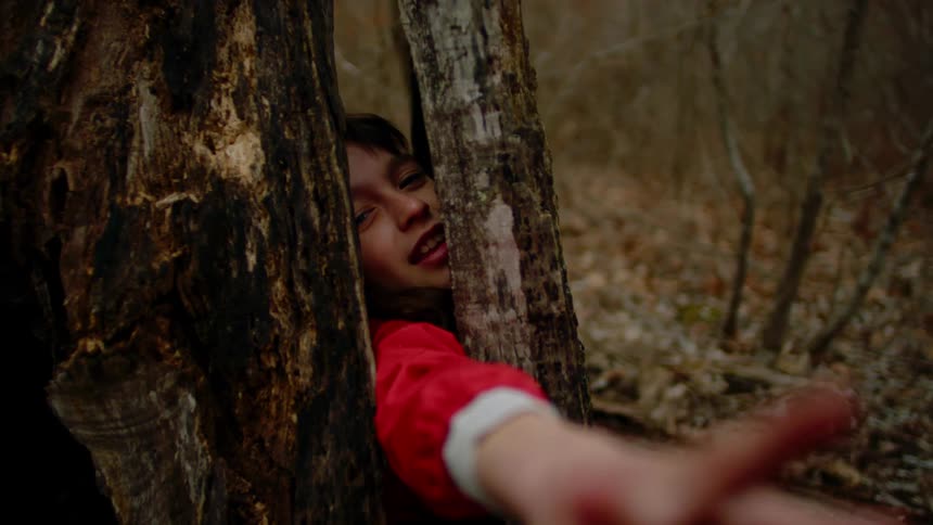 A girl in a forest plays in trees and sticks her hand between tree trunks
