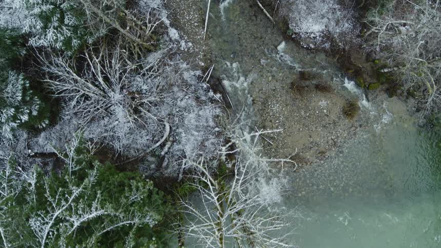 A clear stream runs through a snowy forest before merging into a river
