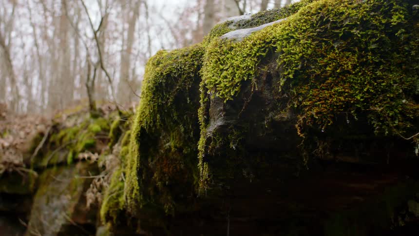 The rain is pouring on the rocks by the forest