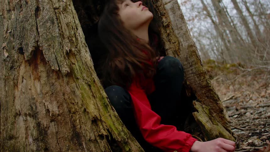 A girl sitting in the hollow trunk of a tree in a woodland looks up towards the sky while fiddling with twigs with one hand