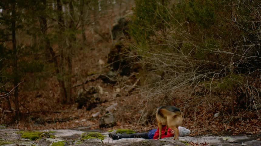 German shepherd licks the face of a girl resting on the ground in the forest