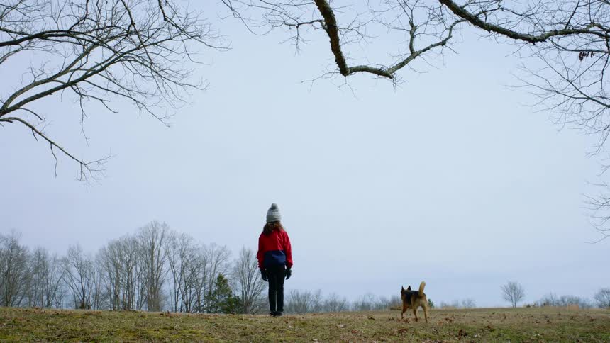 A young girl stands in a field as her dogs runs around