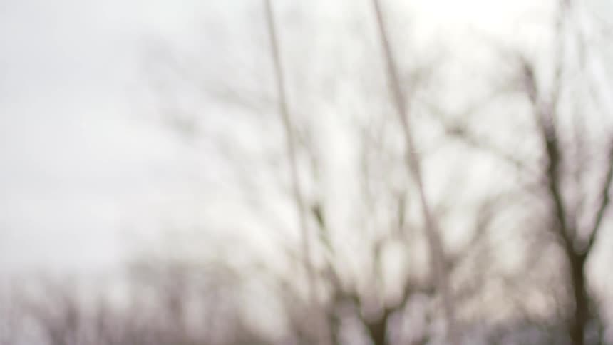 Girl wearing red jacket and beanie plays in a swing near the forest at winter