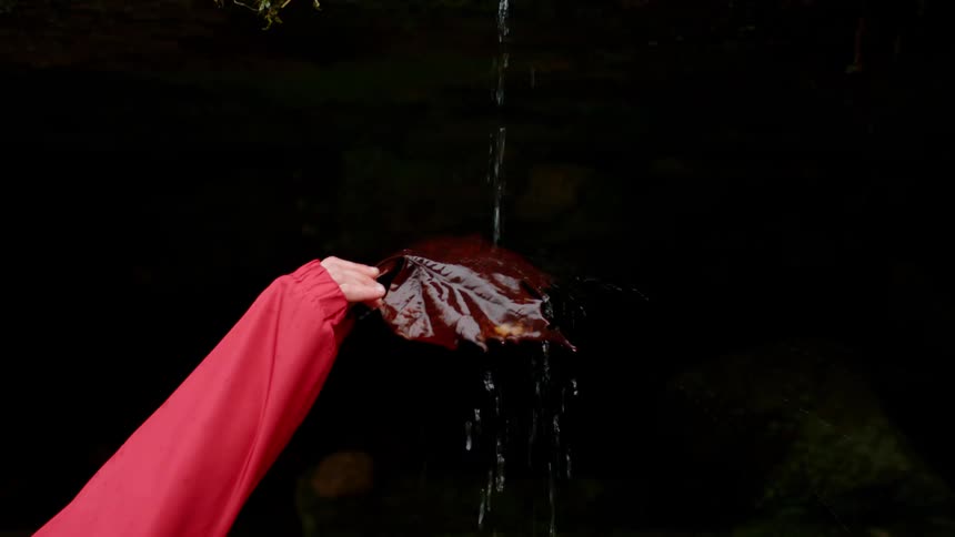 Girl wearing red jacket plays with a big leaf under a small stream of water dripping from the moss covered rocks
