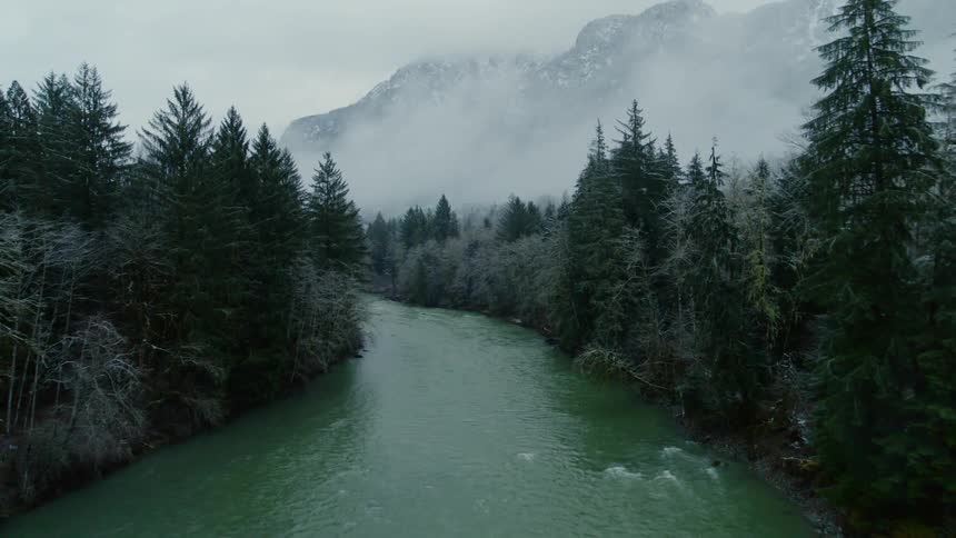 Skimming low over a cold river surrounded by trees with a mist shrouded mountain range in the distance