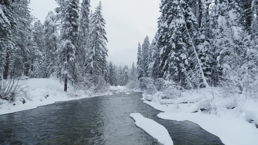 Gliding above a pristine river flowing through a snowy forest