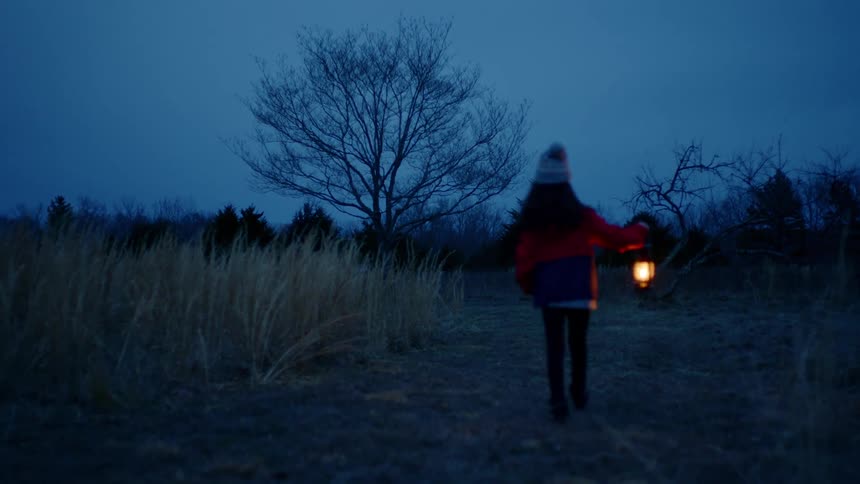 A young girl carries a lantern walking a rural field pathway at night