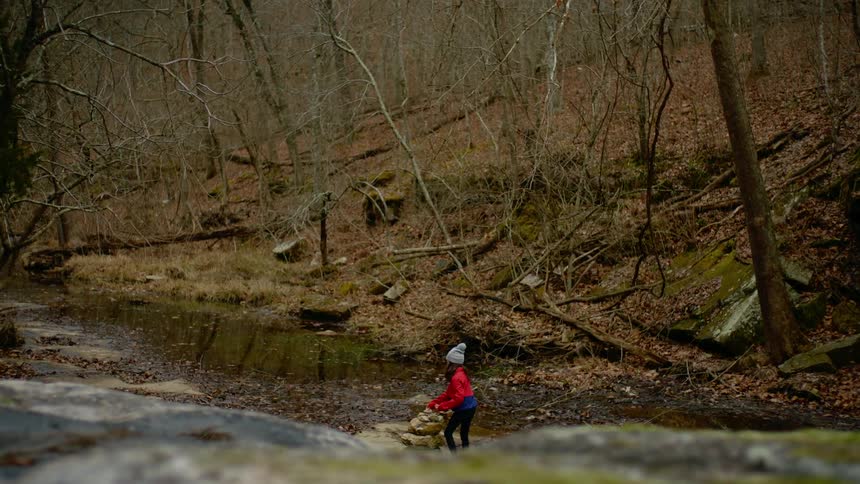 Girl walks to creek in forest of leafless trees and adds stones from ground to pile