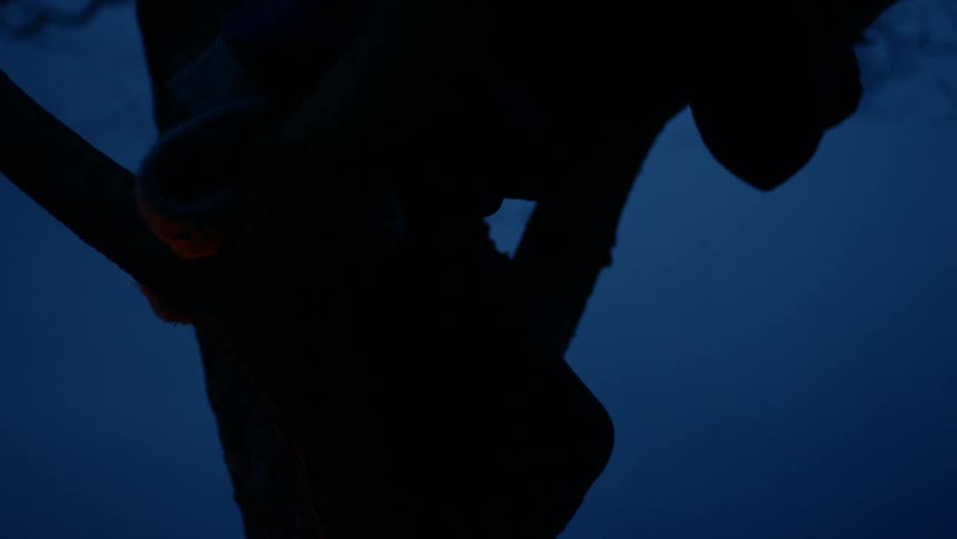 A girl climbing a tree at night