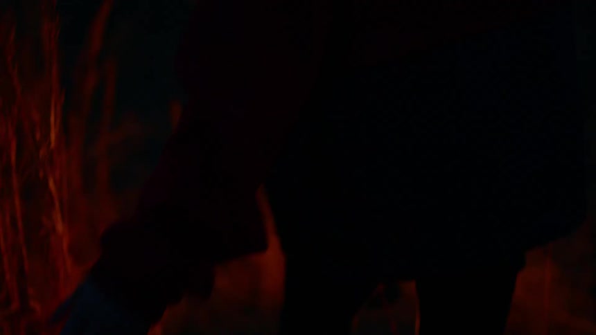 A person is carrying a lantern through the field