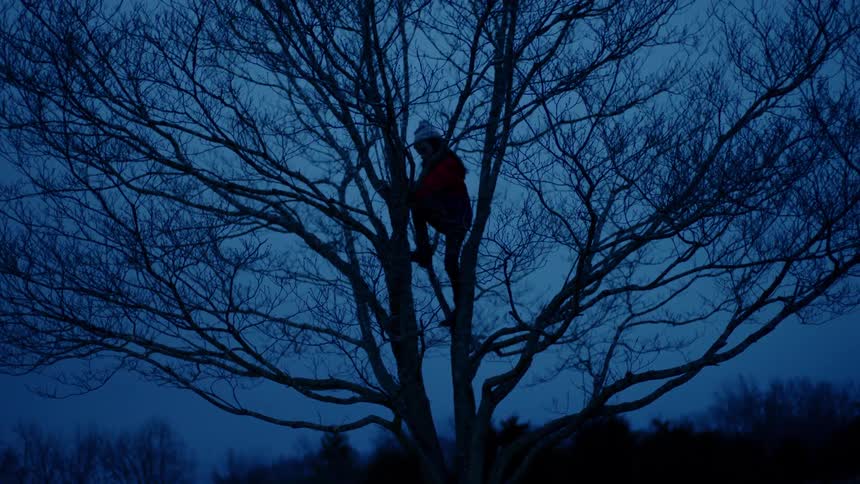 A kid is climing a tree at night