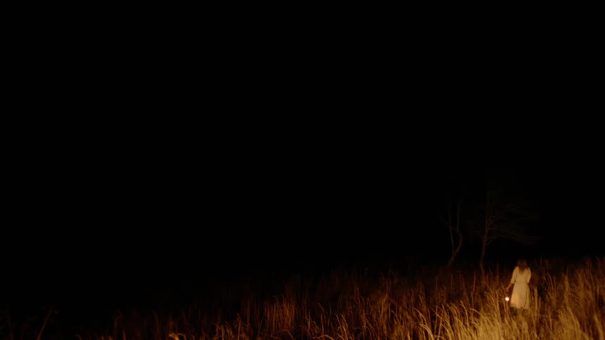 A woman carrying a lantern walks through a field with tall grass at night