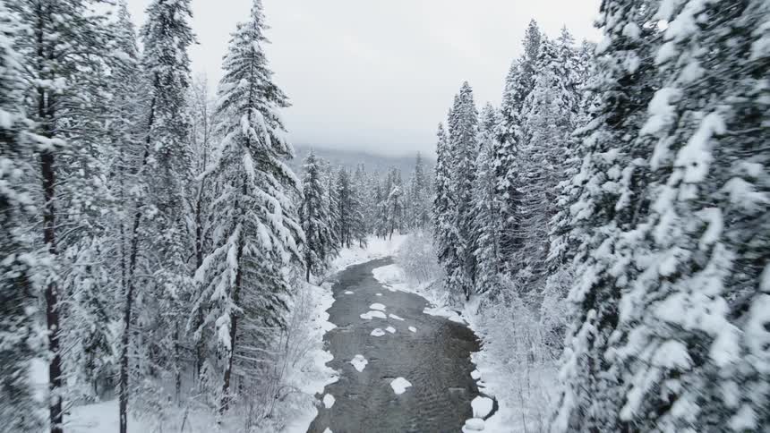 Pullback descent from a snow covered forest to reveal a river running through it