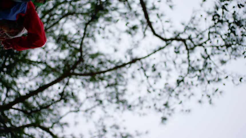 A child in a tree