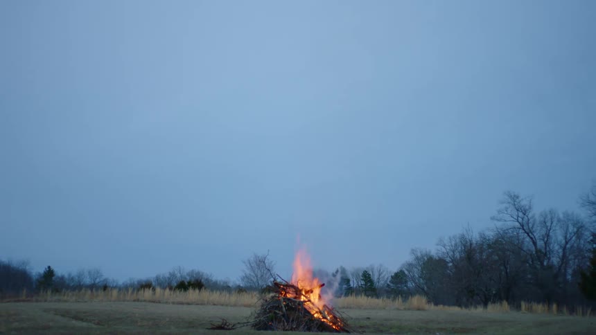Four children running in an open field with a bonfire