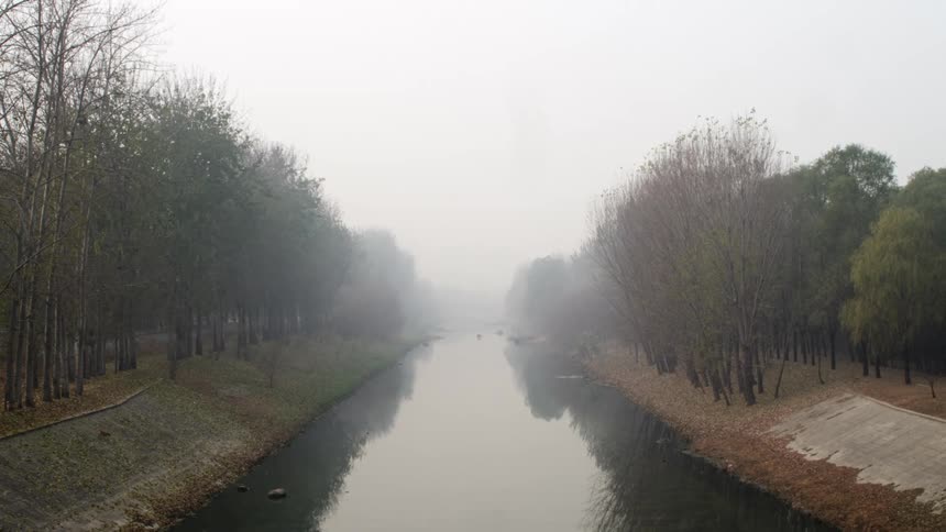 A view of a river surrounded by a forest is displayed