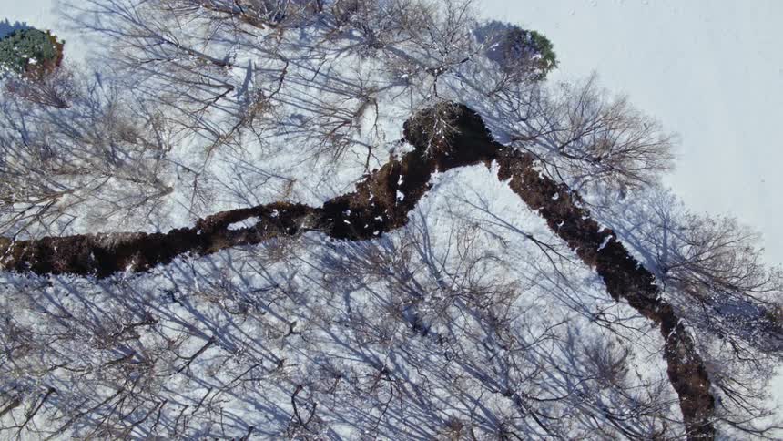The forest and stream are covered with snow