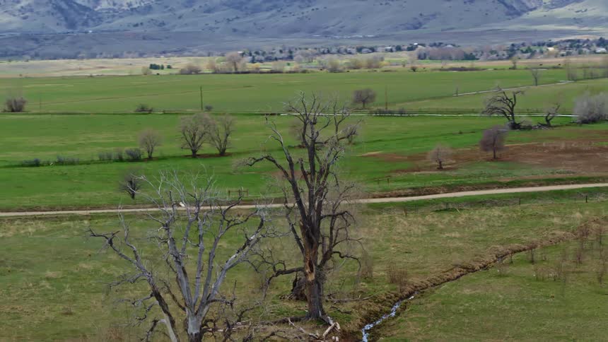 Aerial view of grasslands on a farm