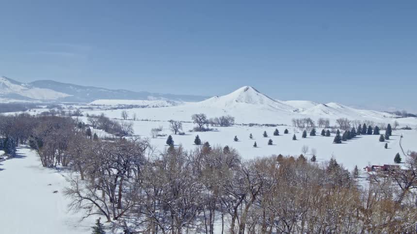 An aerial view of bare trees and snowy mountains on a winter day
