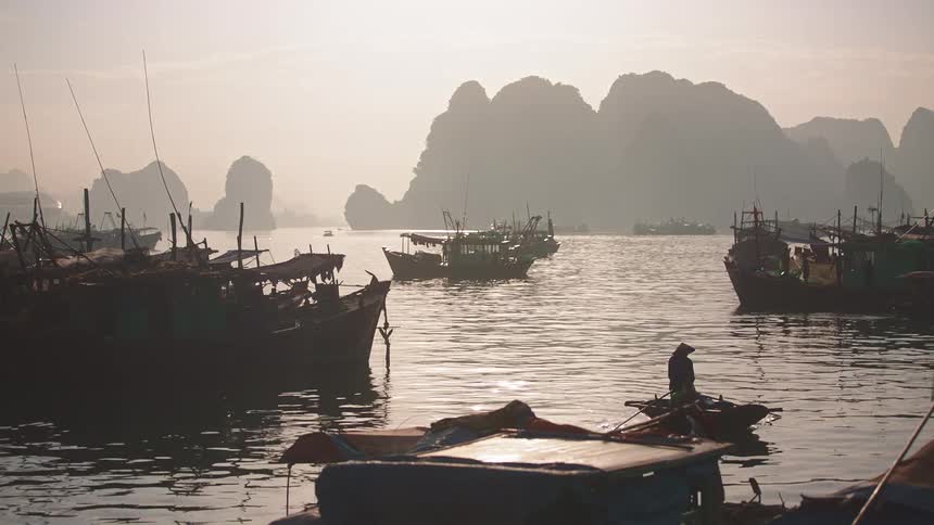 A male rowing a boat near docked boats on a river