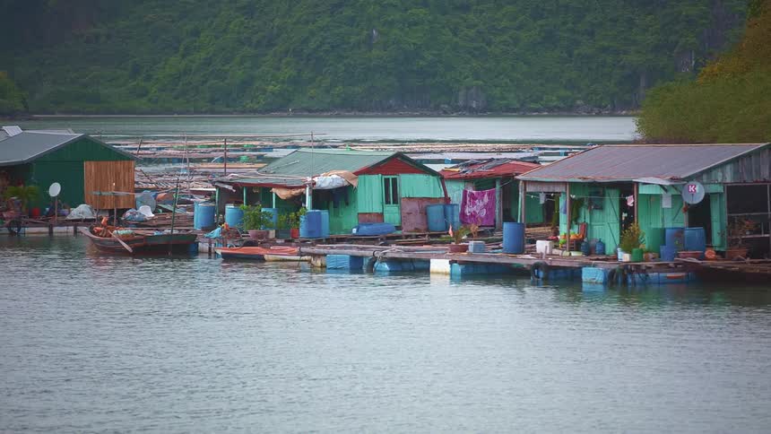 Small huts with boats on the water