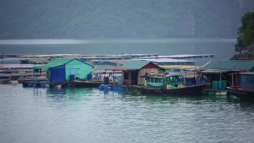 There are some houses on the water of the pier
