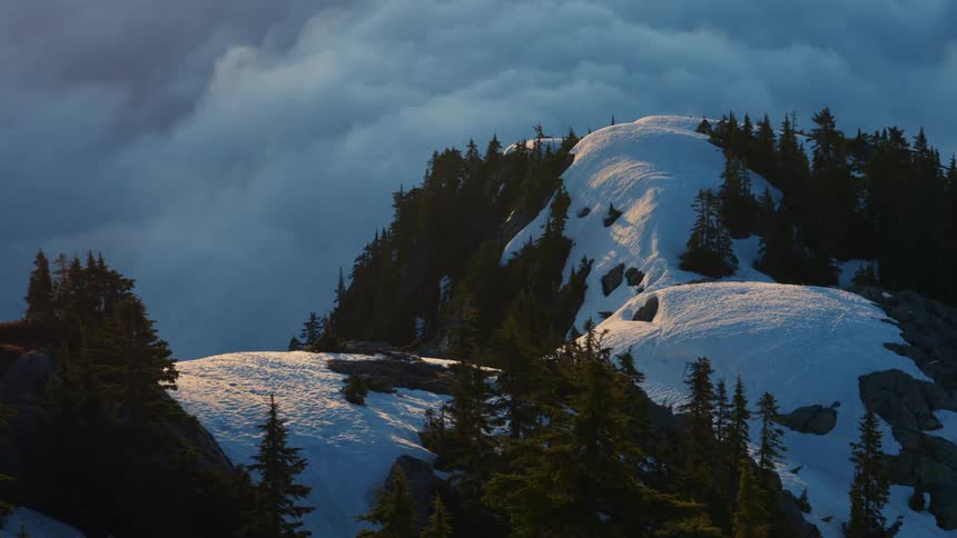 Trees and snowy cover the rocky summit of a mountain ridge overlooking a sea of clouds