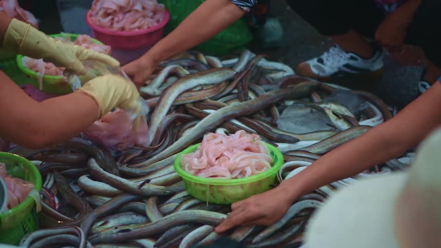 People putting fish innards in a bag