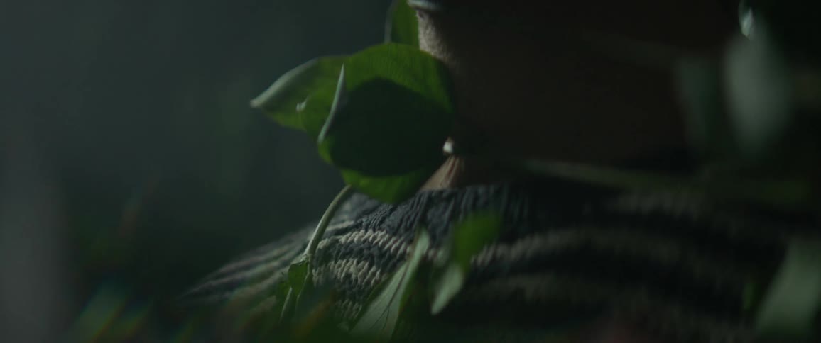 The vines move around the persons shoulders