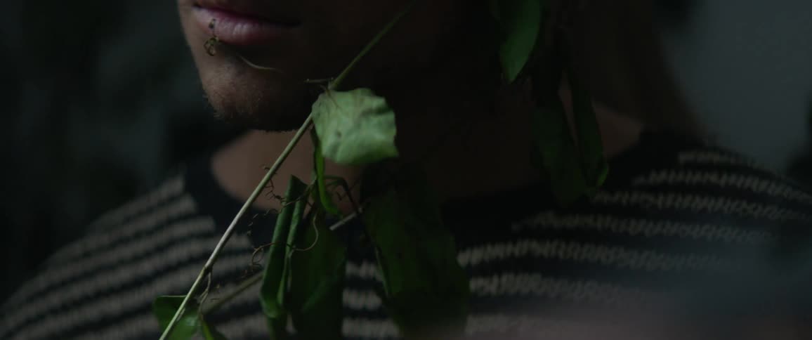 Vines grow around a man's face