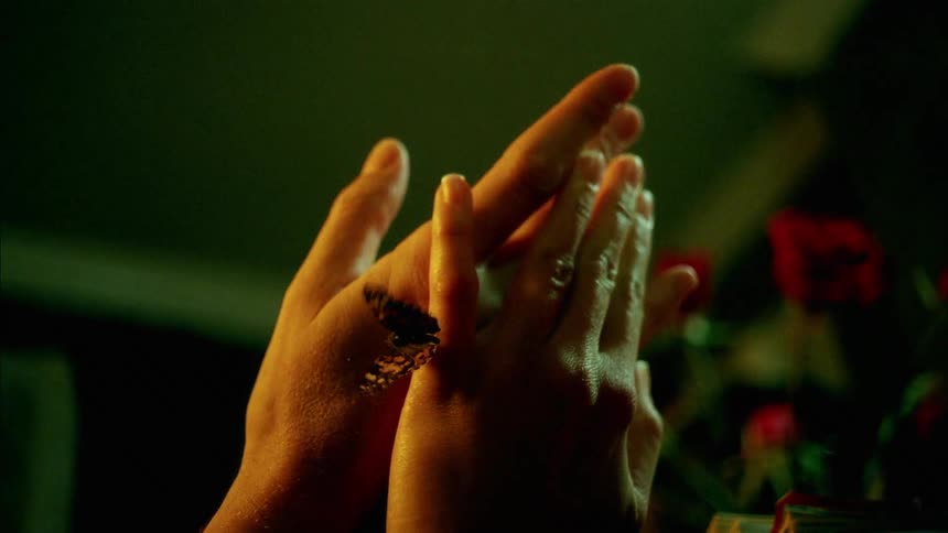 A butterfly crawling on a womans hands