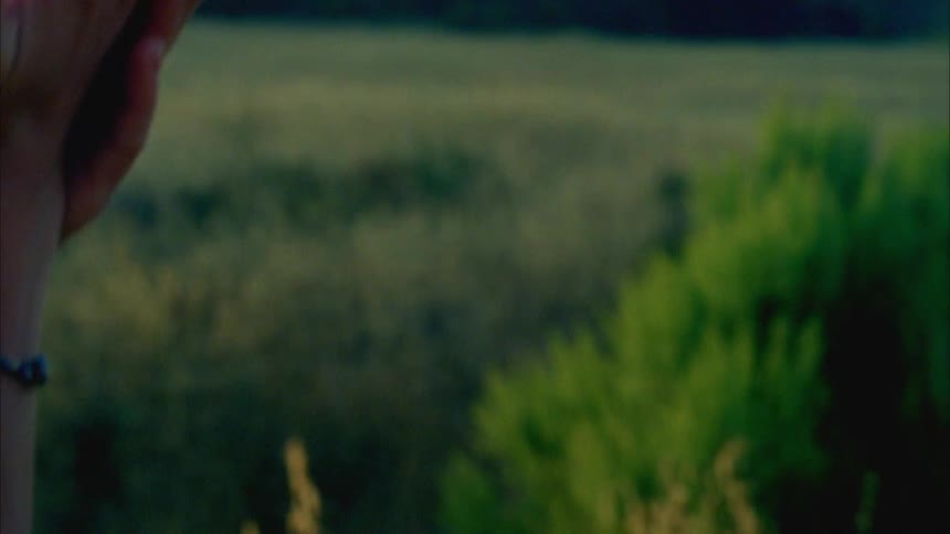 Young woman holds a butterfly in her hands in a grass field at sunset