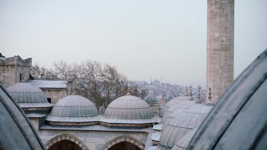 Multiple small domes cover the rooftop of buildings near a dense neighborhood
