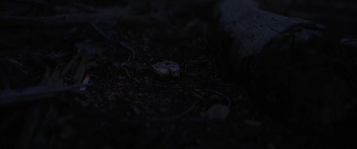 A lit cigarette is dropped onto kindling