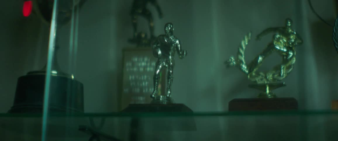 Sports trophies gleam in a display case during the day