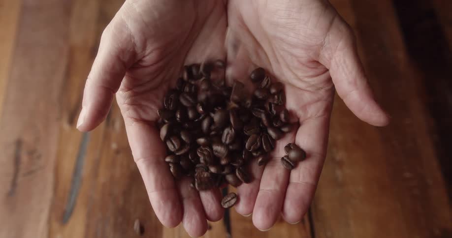 Coffee beans fill cupped hands to overflowing before falling onto wooden surface