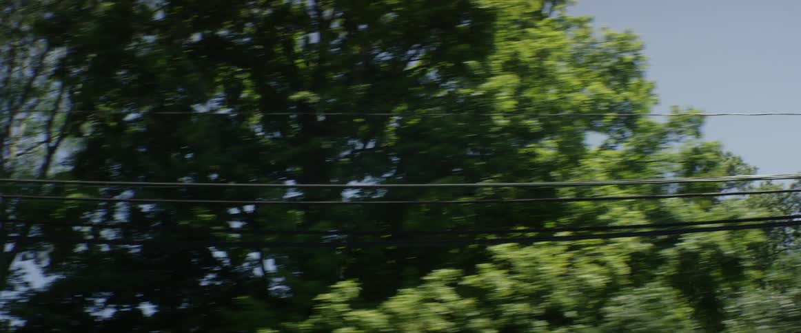 First person view of electric lines and trees while travelling