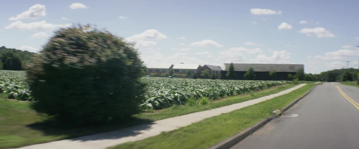 Man Cycling On Summer Afternoon