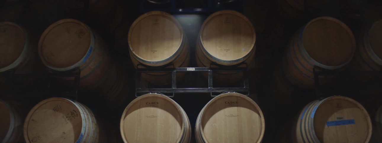 Barrels of liquor in a distillery