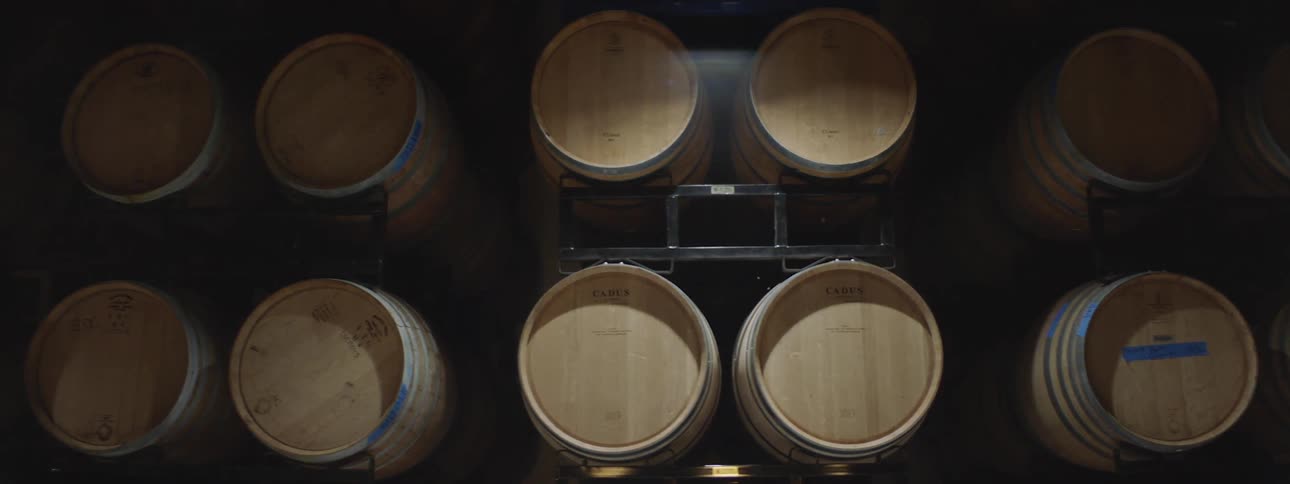 Barrels of wine in a factory