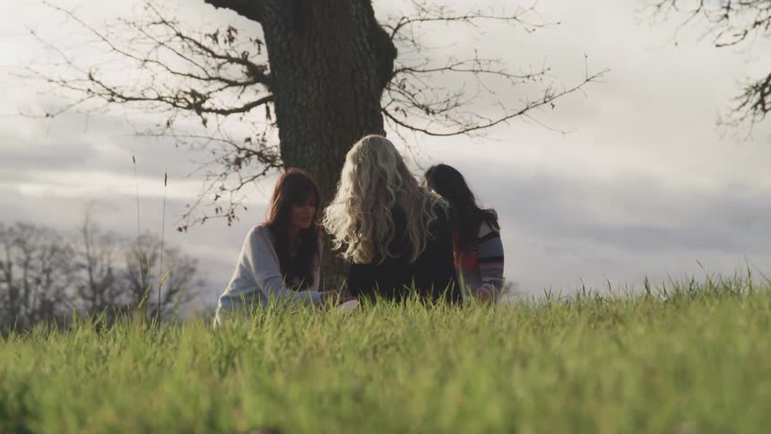 A group of friends sits on green grass under a tree on a cloudy day