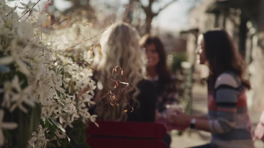Three woman sitting at a table talking surrounded by plants with trees in the background