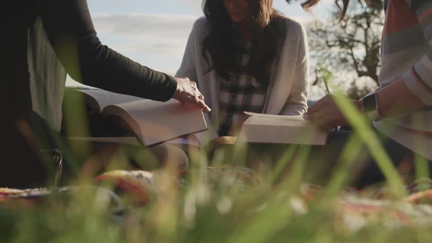 Three college aged students sit outside and read from large textbooks