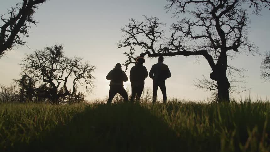 A group of friends standing on a green hill slope is silhouetted against the sky