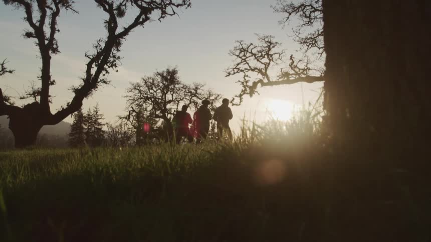 A group of friends standing on green grass is silhouetted against the sunset