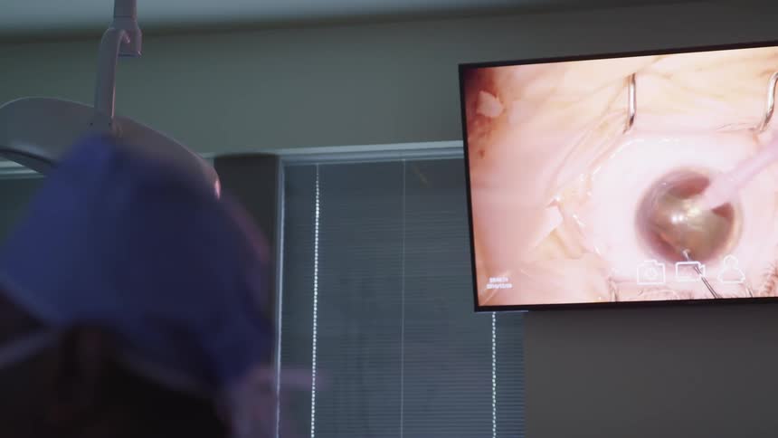A doctor watches a screen as they perform a procedure