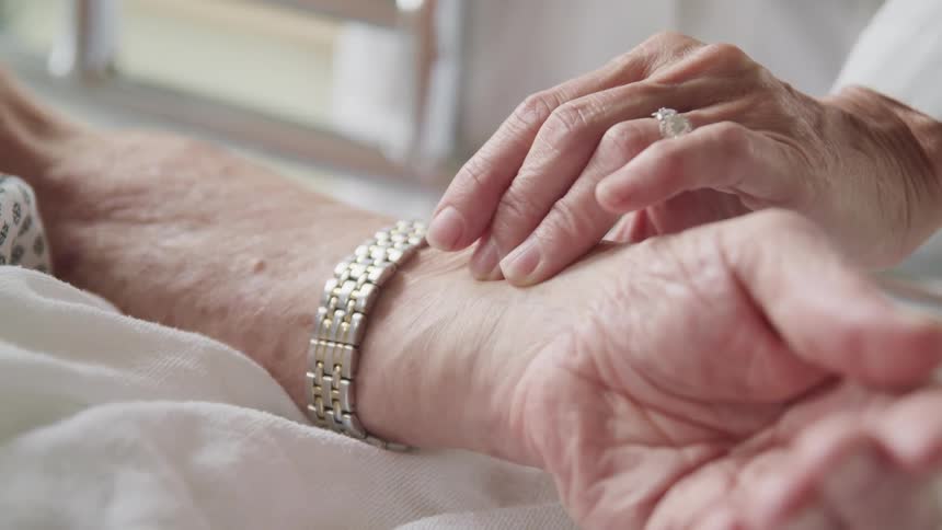 A doctor takes a patients pulse in a hospital room