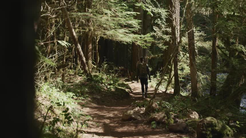 Black man with a shirt and a backpack walks along a dirt track in the woods
