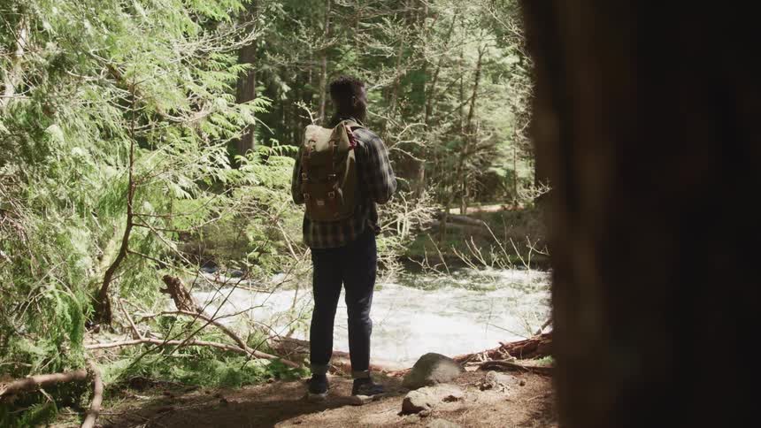 A hiker stands on the edge of a river in a forest